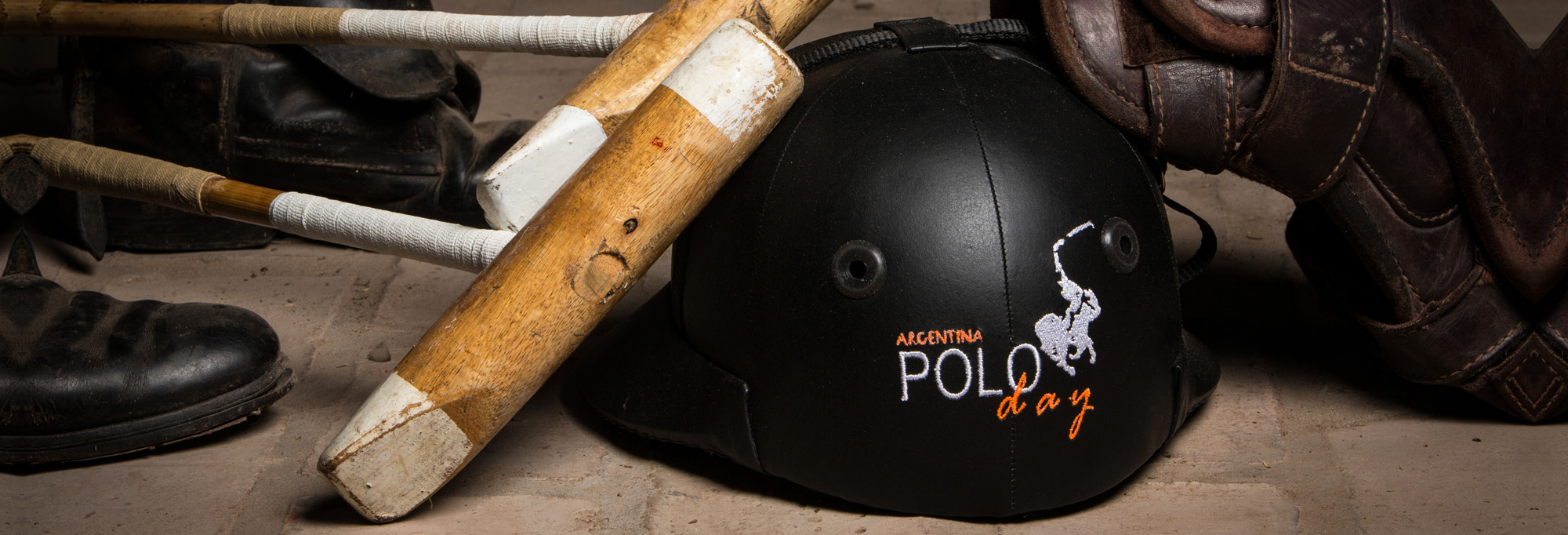 Cuidado de los caballos Polo club