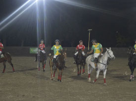 Polo Holidays