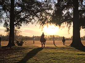 being-a-polo-pro