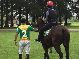 argentina-polo-day-group