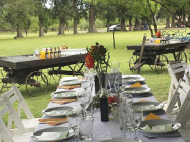 argentina-polo-day-group