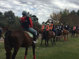 argentina-polo-day-group