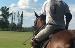 Polo-Holiday-9