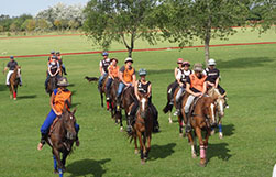 being-a-polo-pro