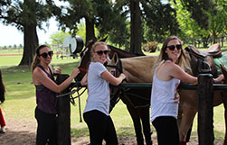 being-a-polo-pro