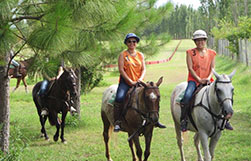 being-a-polo-pro