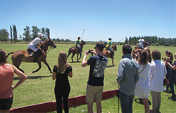 being-a-polo-pro